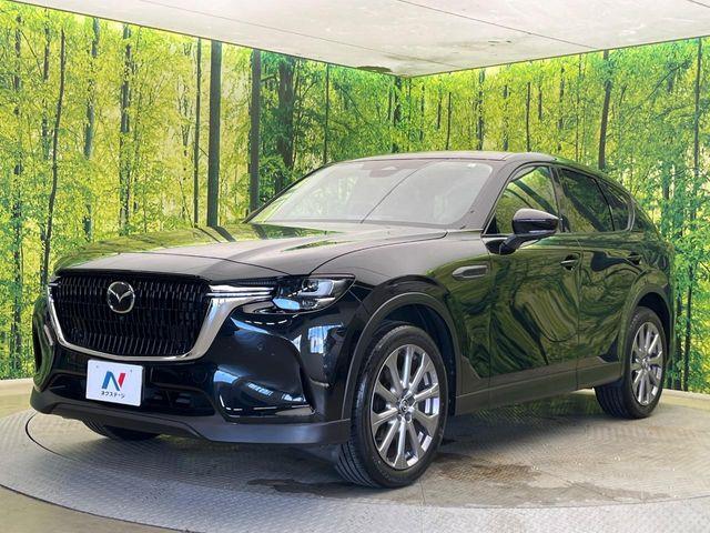 CX-60（新潟県新潟市南区）画像21