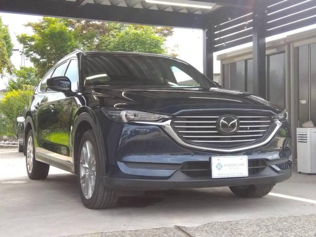 CX-8（新潟県十日町市）画像4