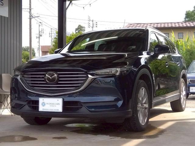 CX-8（新潟県十日町市）画像5