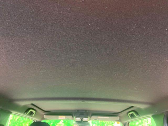 タフト（新潟県新潟市南区）画像35
