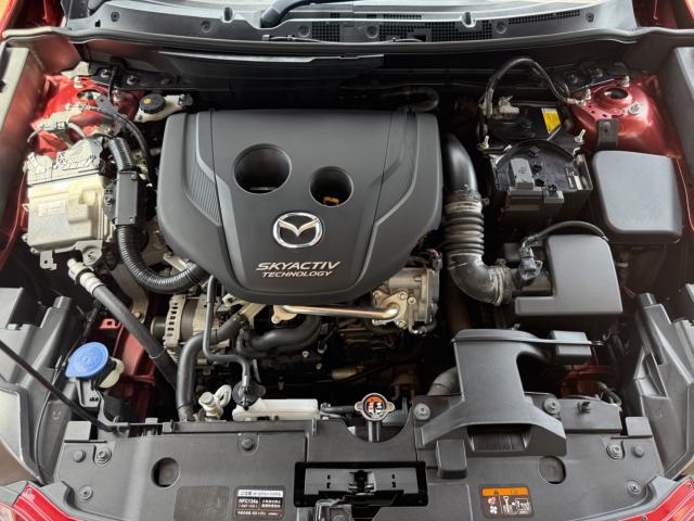 CX-3（新潟県長岡市）画像48