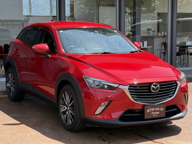 CX-3（新潟県長岡市）画像35