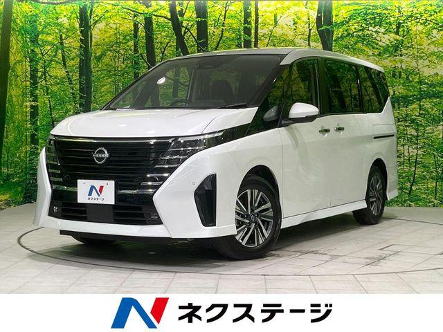 セレナ（新潟県長岡市）