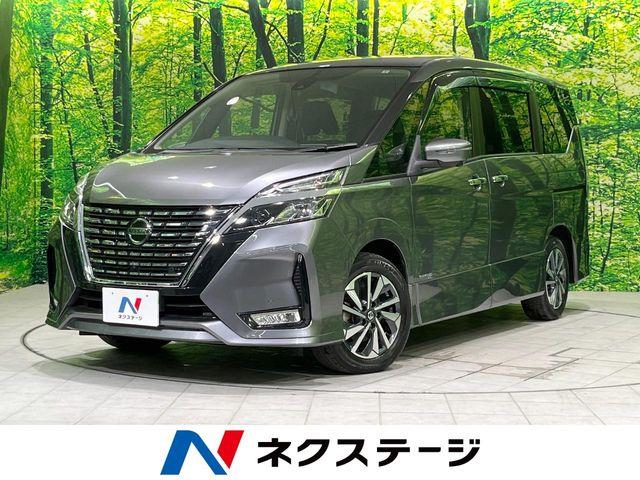 セレナ（新潟県長岡市）