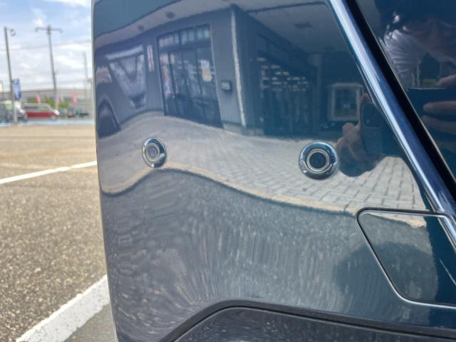 トール（新潟県新潟市西蒲区）画像31