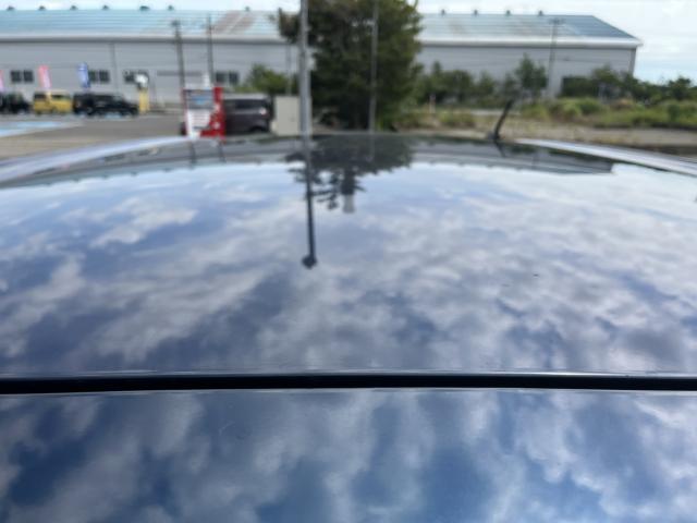トール（新潟県新潟市西蒲区）画像33