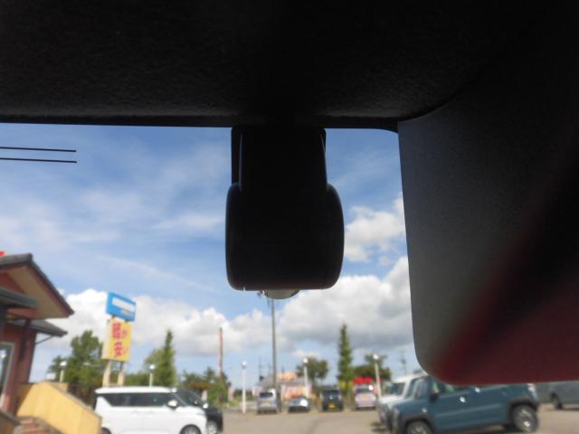 タフト（新潟県新潟市秋葉区）画像16