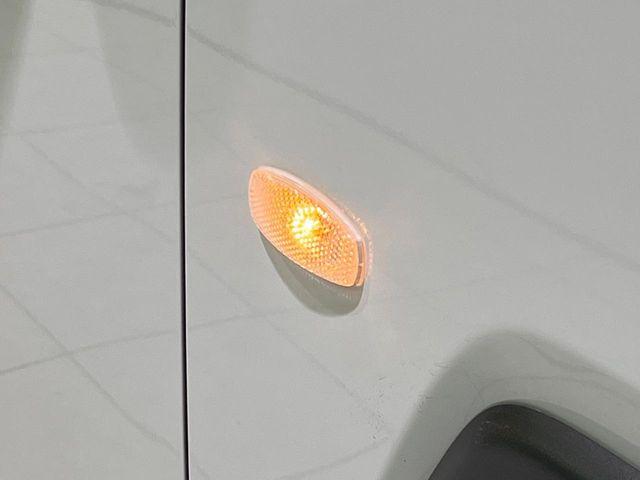 タフト（新潟県長岡市）画像26