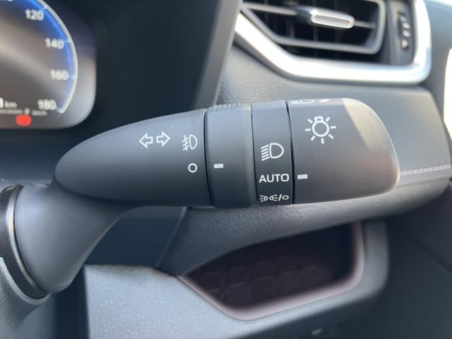 ＲＡＶ４（新潟県長岡市）画像27