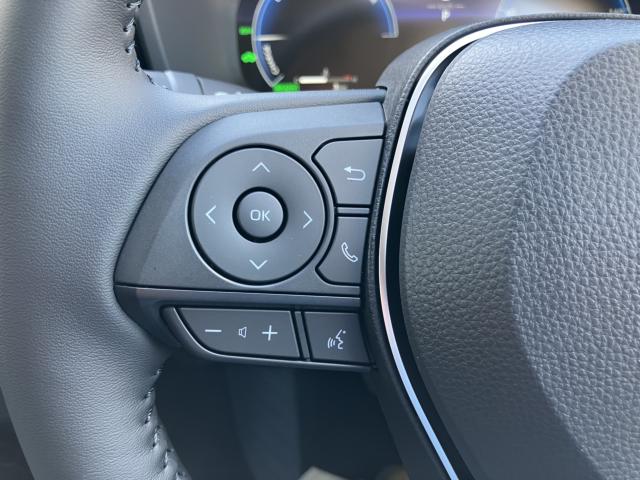 ＲＡＶ４（新潟県長岡市）画像28