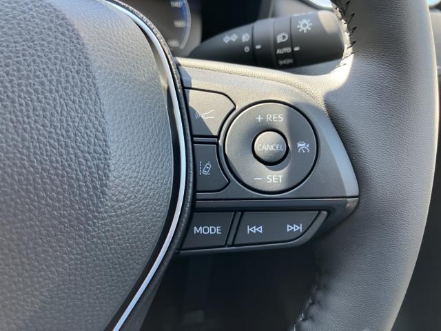 ＲＡＶ４（新潟県長岡市）画像29