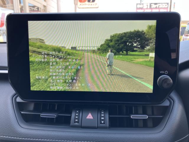 ＲＡＶ４（新潟県長岡市）画像15