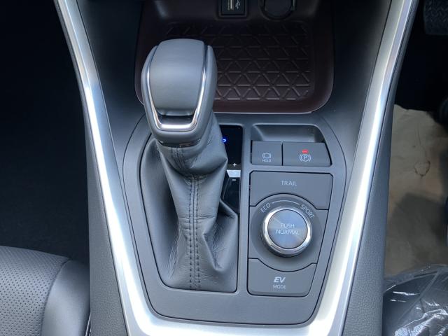 ＲＡＶ４（新潟県長岡市）画像18