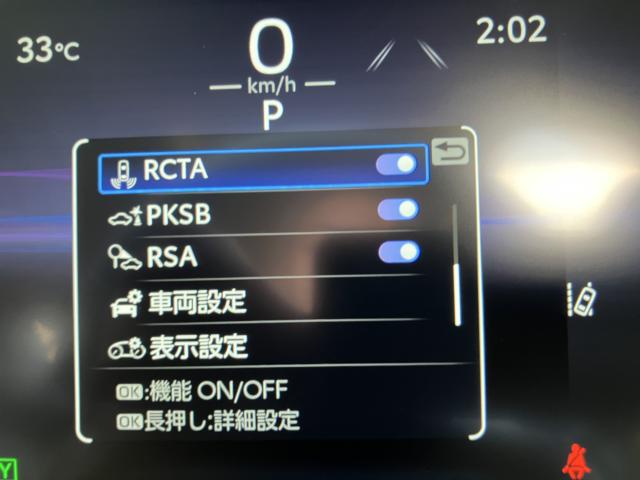 ＲＡＶ４（新潟県長岡市）画像12