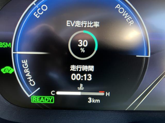 ＲＡＶ４（新潟県長岡市）画像11