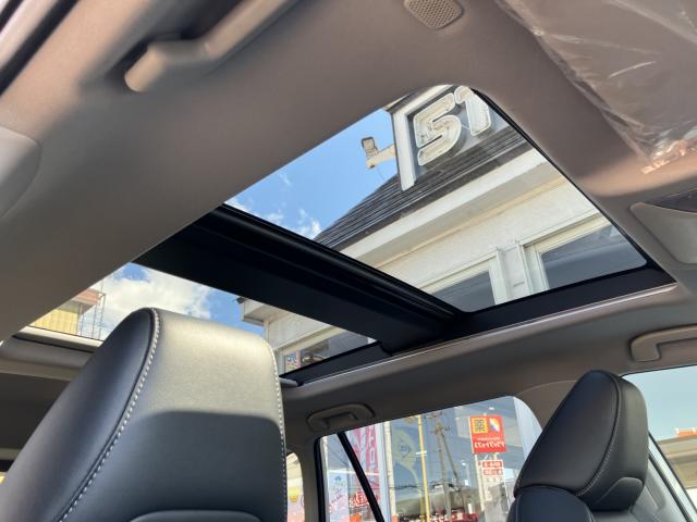 ＲＡＶ４（新潟県長岡市）画像43