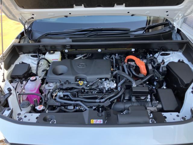 ＲＡＶ４（新潟県長岡市）画像55