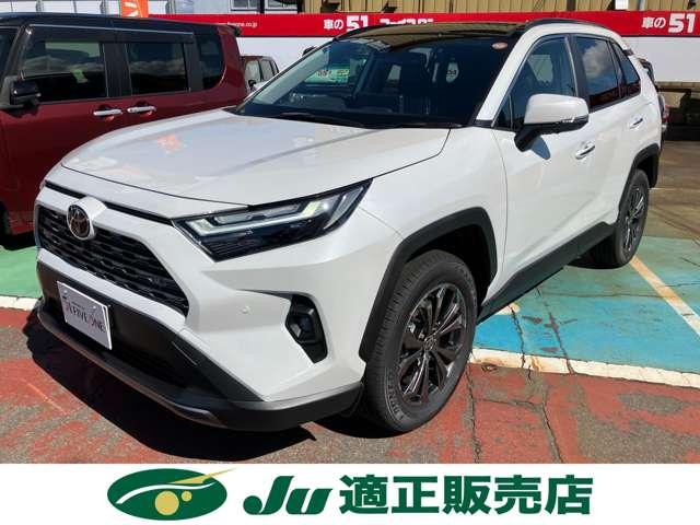 ＲＡＶ４（新潟県長岡市）画像2