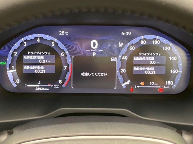 ＲＡＶ４（新潟県新潟市南区）画像57