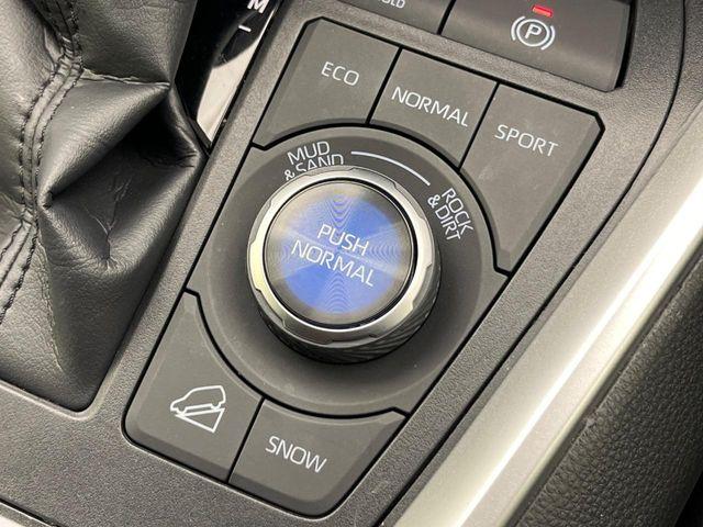 ＲＡＶ４（新潟県新潟市南区）画像69