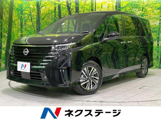 セレナ（新潟県長岡市）