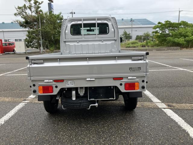 キャリイトラック（新潟県新潟市西蒲区）