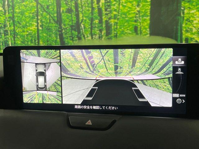 CX-60（新潟県長岡市）画像4