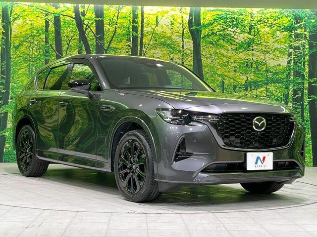 CX-60（新潟県長岡市）画像17