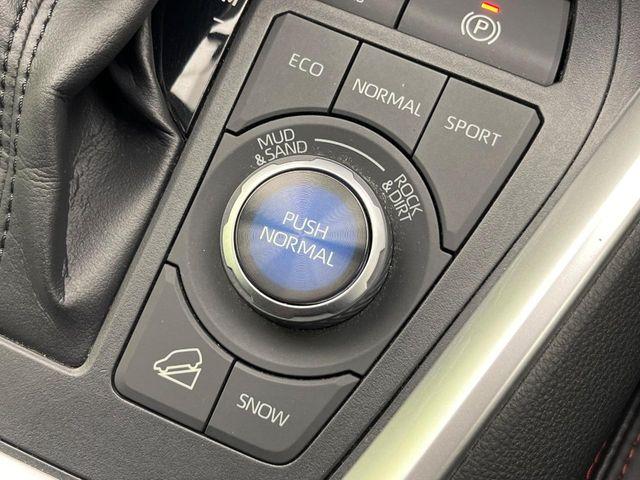 ＲＡＶ４（新潟県新潟市南区）画像59