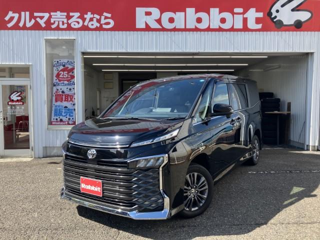 ヴォクシー（新潟県燕市）
