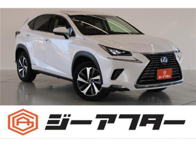 レクサスＮＸ（新潟県新潟市東区）