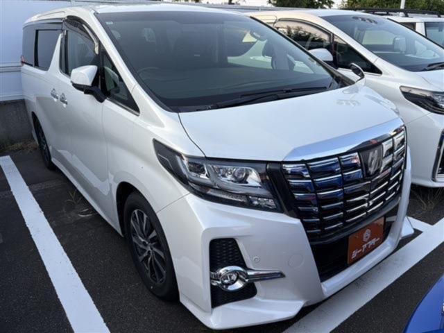 アルファード（新潟県新潟市東区）