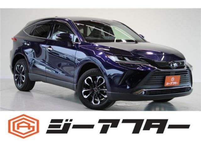 ハリアー（新潟県新潟市東区）