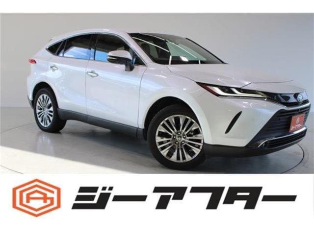 ハリアー（新潟県新潟市東区）