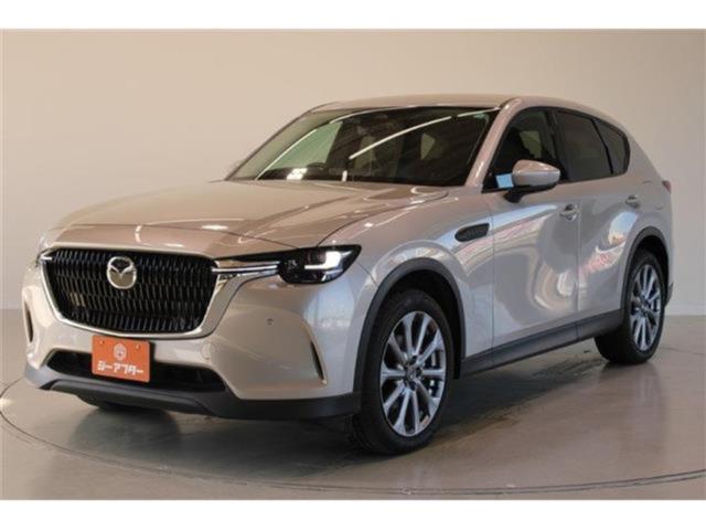 CX-60（新潟県新潟市東区）画像9