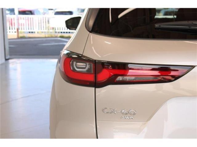 CX-60（新潟県新潟市東区）画像20