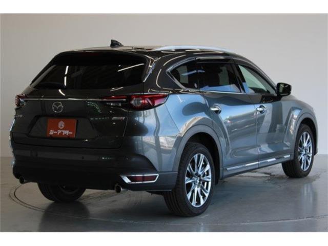 CX-8（新潟県新潟市東区）画像13