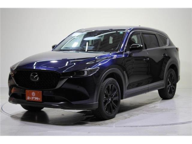 CX-8（新潟県新潟市東区）画像8