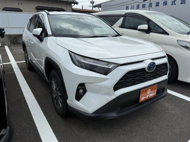 ＲＡＶ４（新潟県新潟市東区）