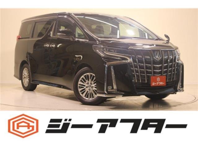 アルファード（新潟県新潟市東区）