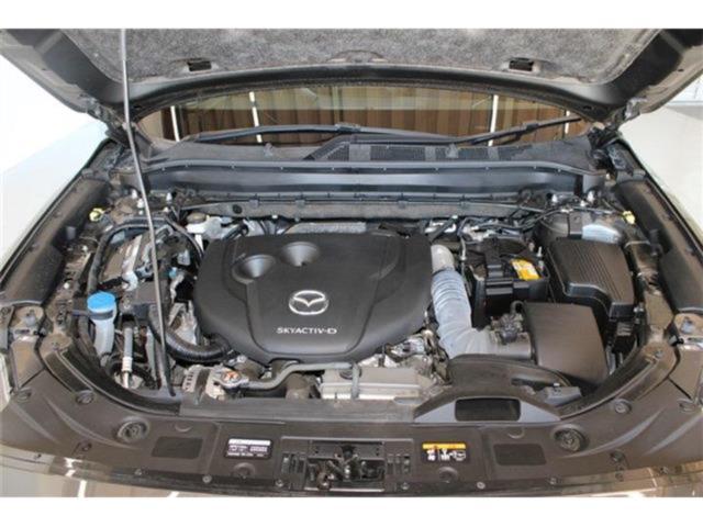CX-8（新潟県新潟市東区）画像55