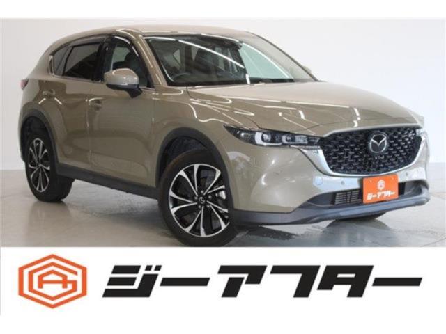 CX-5（新潟県新潟市東区）