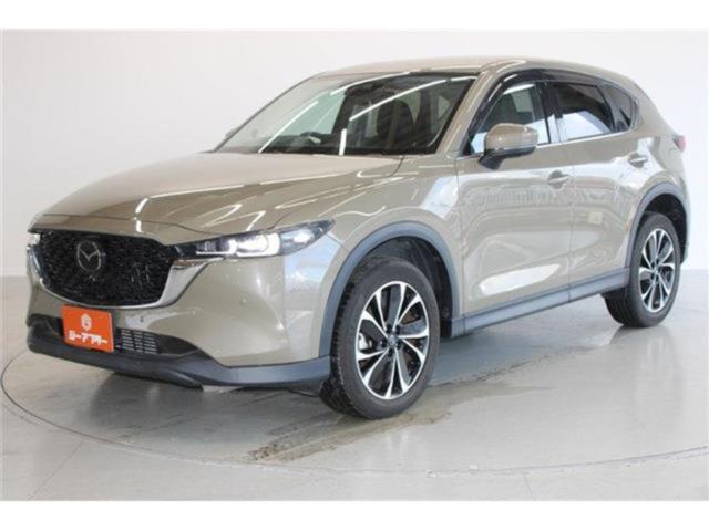 CX-5（新潟県新潟市東区）画像9