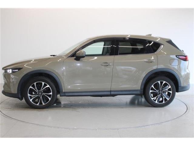 CX-5（新潟県新潟市東区）画像10