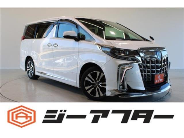 アルファード（新潟県新潟市東区）