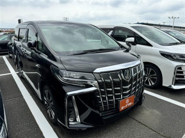 アルファード（新潟県新潟市東区）