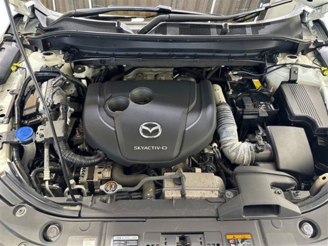 CX-8（新潟県新潟市東区）