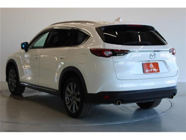 CX-8（新潟県新潟市東区）画像11
