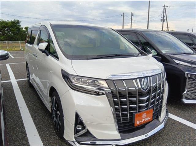 アルファード（新潟県新潟市東区）