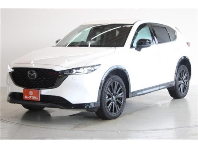 CX-5（新潟県新潟市東区）画像9
